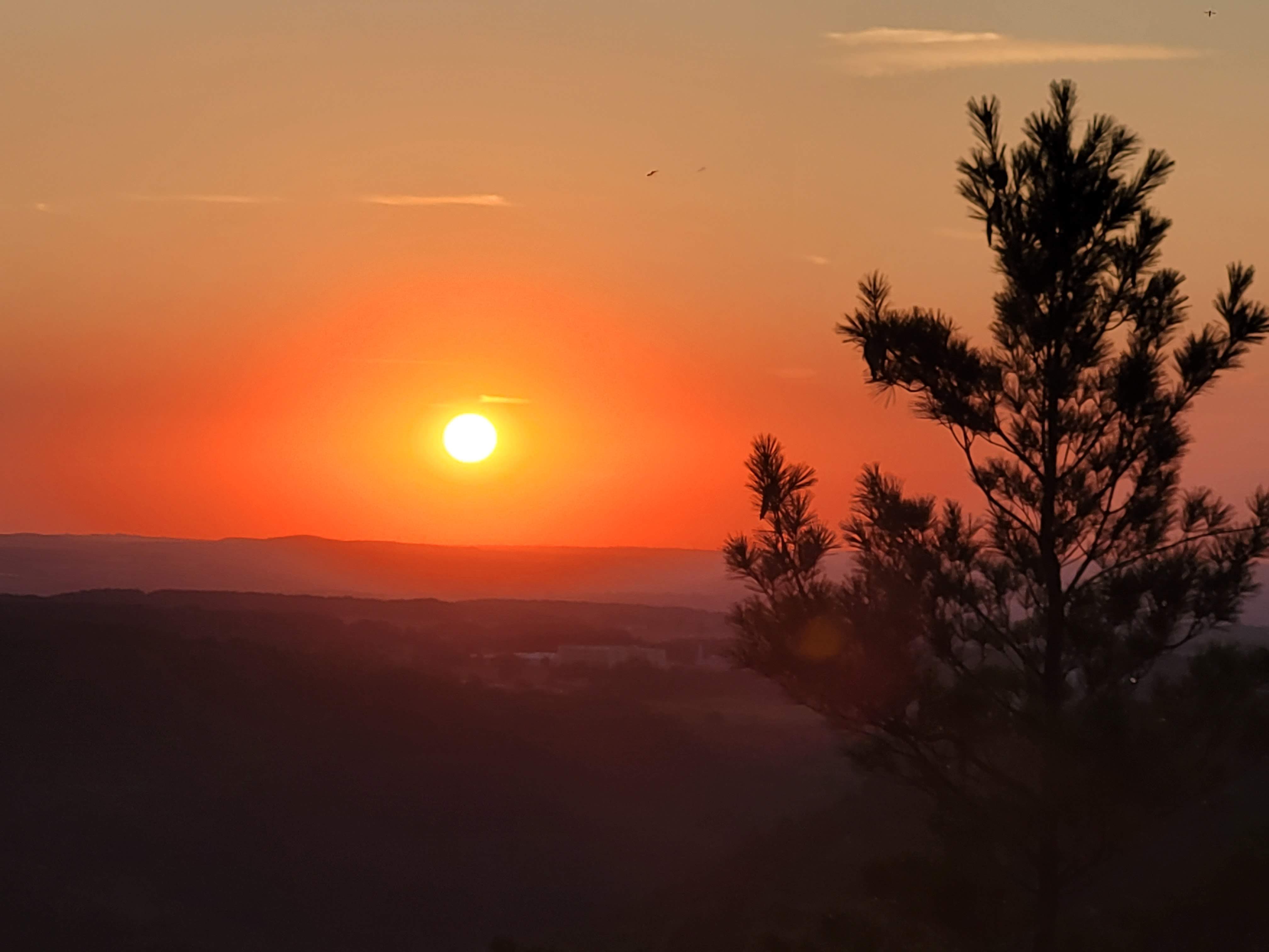 Sonnenuntergang Pfaffenstein