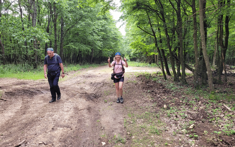 Jakobswege in Ungarn - Tag 3 - schattige Wälder