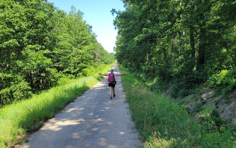 Jakobsweg in Ungarn - Tag 5 - Wieder im Wald