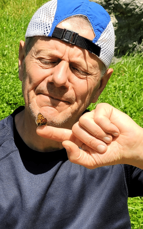 Jakobswege in Ungarn - Tag 3 - Schmetterling