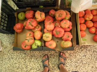 Portugal - Gigant-Tomaten